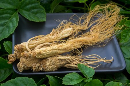 Ginseng root on the black plate with green nature background.